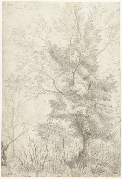 Bosco della Villa Madama fuori Roma, con un cacciatore che spara da Gerard ter Borch
