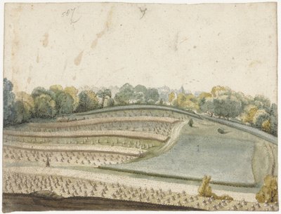 Panorama di un campo di grano ondulato visto dall