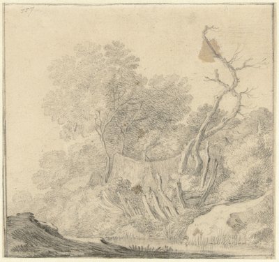 Case tra alberi vicino all