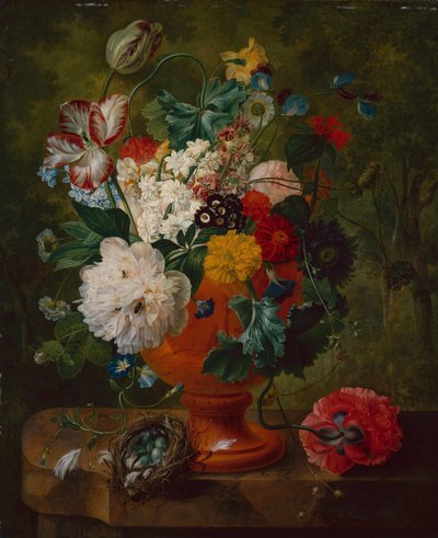 Fiori estivi in un
