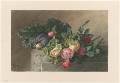 Natura morta con rose e foglia di cavolo da Gerardina Jacoba van de Sande Bakhuyzen
