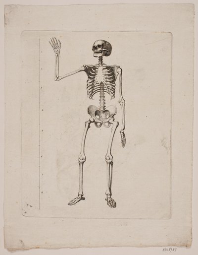 Scheletro da Gerhard Ludvig Lahde