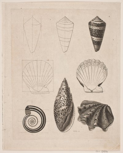 Tavola con lumache da Gerhard Ludvig Lahde