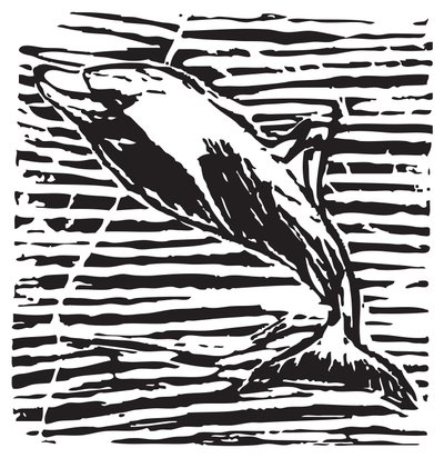Delfino da Gerhardt Isringhaus