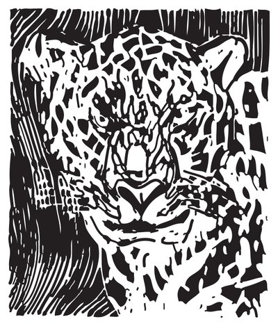 Leopardo da Gerhardt Isringhaus