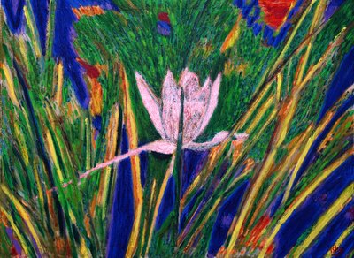 Ninfee, 2019 da Gerhardt Isringhaus