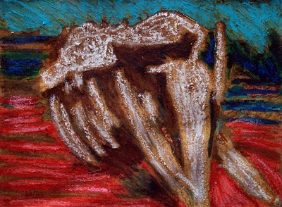 Scheletro di balena da Gerhardt Isringhaus