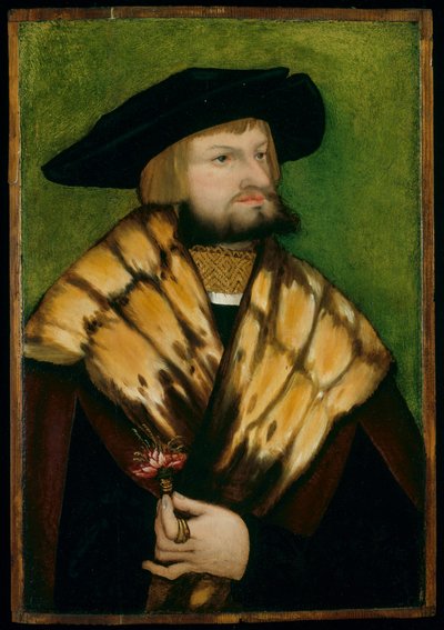 Ritratto di Leonhard Fuchs da German