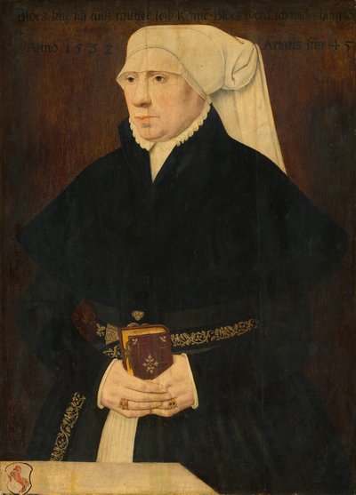 Ritratto di una signora da German 16th Century