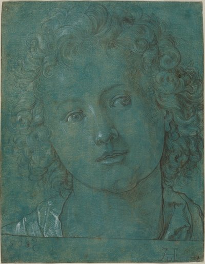 Testa di un ragazzo da German 16th Century after Albrecht Dürer
