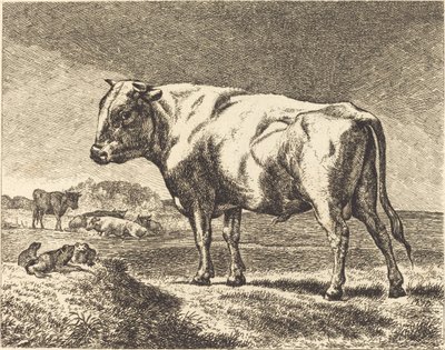 Mucca da German 19th Century