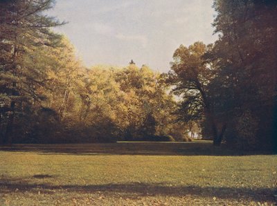 Colori autunnali a Donaueschingen, Foresta Nera, Germania (foto a colori) da German Photographer