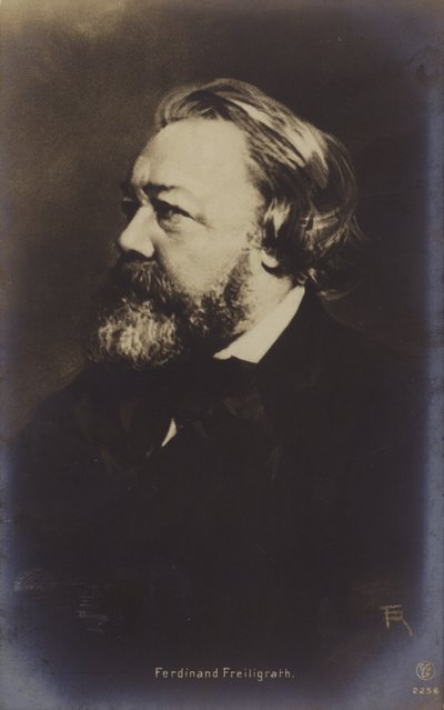 Ferdinand Freiligrath (1810-1876), poeta tedesco (foto b/n) da German Photographer