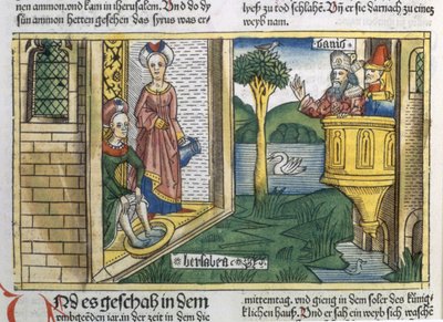Davide vede Betsabea fare il bagno, dalla Bibbia di Norimberga (Biblia Sacra Germanaica) da German School