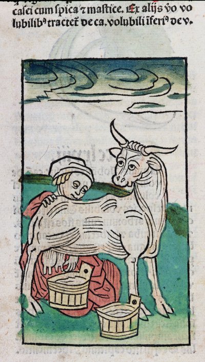 Una cameriera che munge una mucca, 1491 da German School
