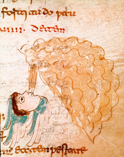 Una Tempesta Libro 9, capitolo 29. Miniatura tratta dal manoscritto De Universo o De rerum naturis da German School