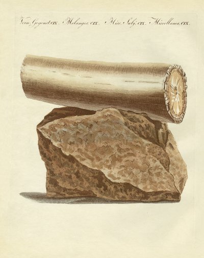 Parte di un