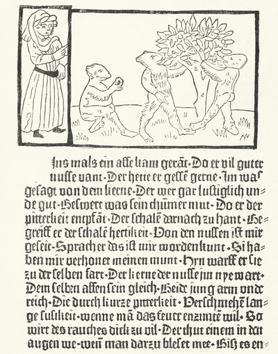 Una scena dal libro 