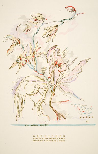 Pubblicità "Orchideen aus dem Hause Hermann Roth" da Styl, pub.1922 (stampa a pochoir) da German School