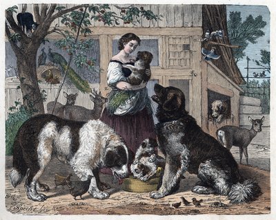 Affetto tra una contadina e i suoi cani. In 