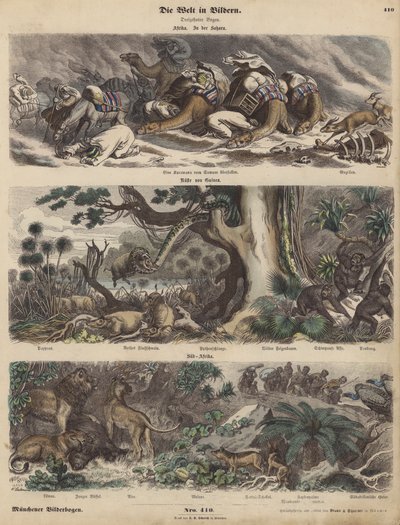 Africa: una carovana sorpresa da una tempesta di sabbia nel Sahara; la costa della Guinea; Sudafrica da German School