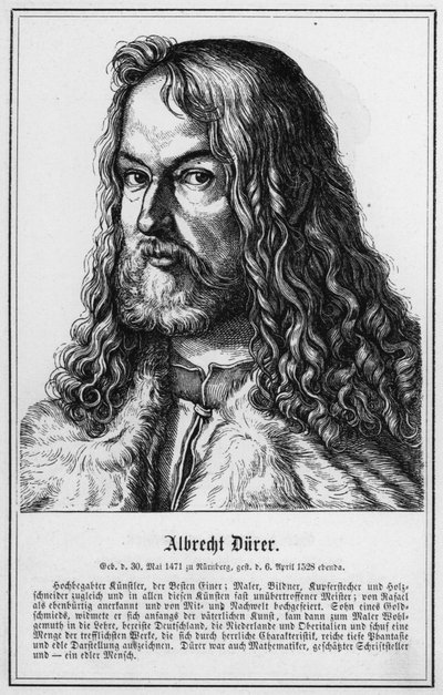 Albrecht Durer da German School