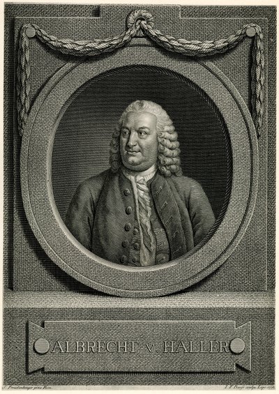 Albrecht von Haller da German School