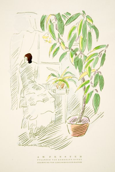 Am Fenster, piante di Hermann Rothe, da Styl, pub.1922 da German School