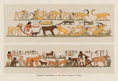 Dipinti egiziani antichi di animali da German School