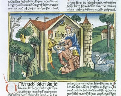 Apocrifi: Tobia è accecato dagli escrementi dei passeri, dalla Bibbia di Norimberga (Biblia Sacra Germanaica) da German School