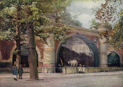 Recinto degli orsi, Giardino Zoologico di Berlino, Germania da German School