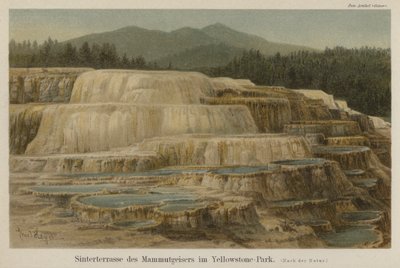 Terrazze di sinter calcareo alle Mammoth Hot Springs nel Parco Nazionale di Yellowstone, Wyoming da German School