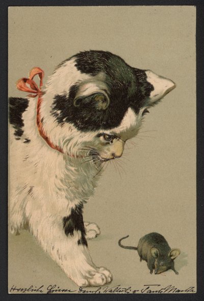 Gatto che gioca con un topo (litografia a colori) da German School