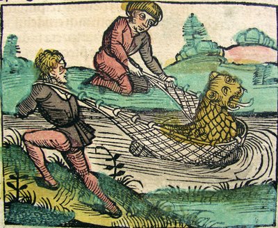 Cattura di un mostro pesce gatto leone, pubblicato nella Cronaca di Norimberga, 1493 da German School
