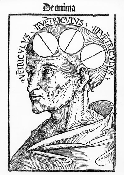 Cavità del cervello, da Philosophia Naturalis di Alberto Magno, pubblicata a Basilea, 1506 da German School