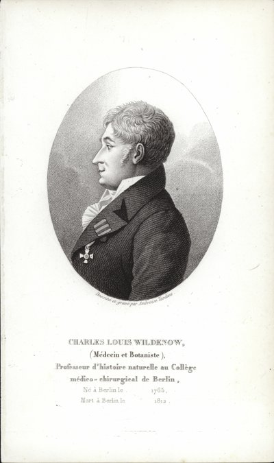 Charles Louis Wildenow da German School