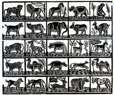 Collezione di animali da German School
