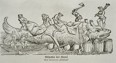 Taglio di una balena (xilografia) da German School