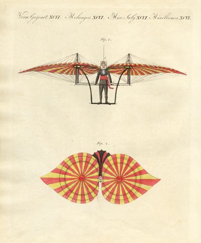 Macchina volante di Degen (incisione colorata) da German School