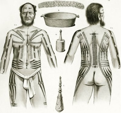 Diagramma che mostra vari manufatti e disegni di tatuaggi polinesiani, 1888 da German School