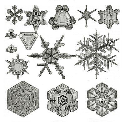 Diverse forme di fiocchi di neve da German School