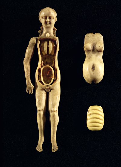 Bambola che mostra l