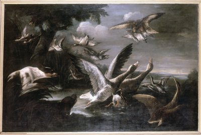Aquila, oche selvatiche e cani da German School