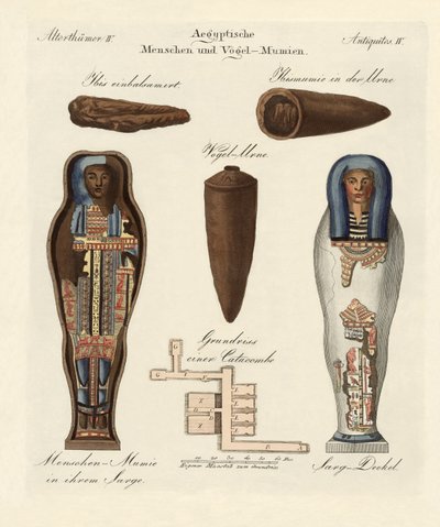 Mummie egiziane da German School