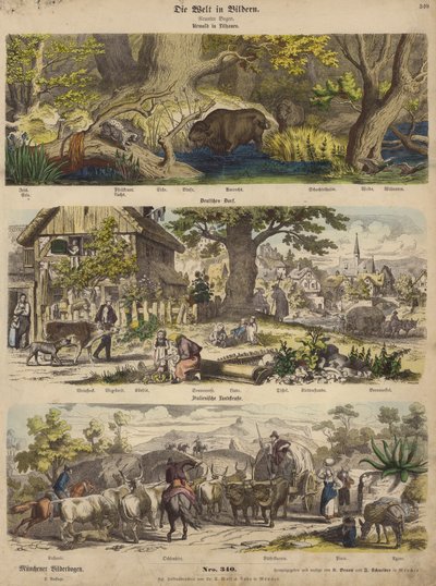 Europa: foresta in Lituania; villaggio tedesco; strada di campagna italiana da German School