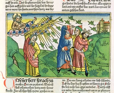 Esodo 10:1-20 Le sette piaghe d