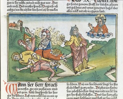 Esodo 9:8-12 Le sette piaghe d