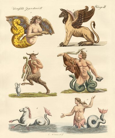 Animali favolosi da German School