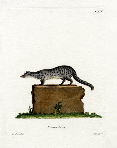 Fanaloka da German School