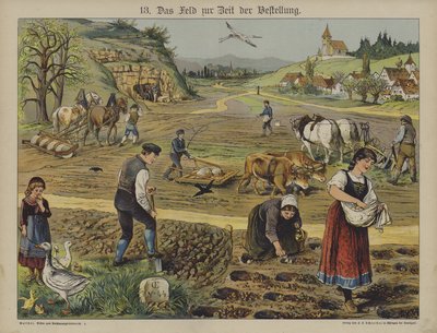 Agricoltura da German School